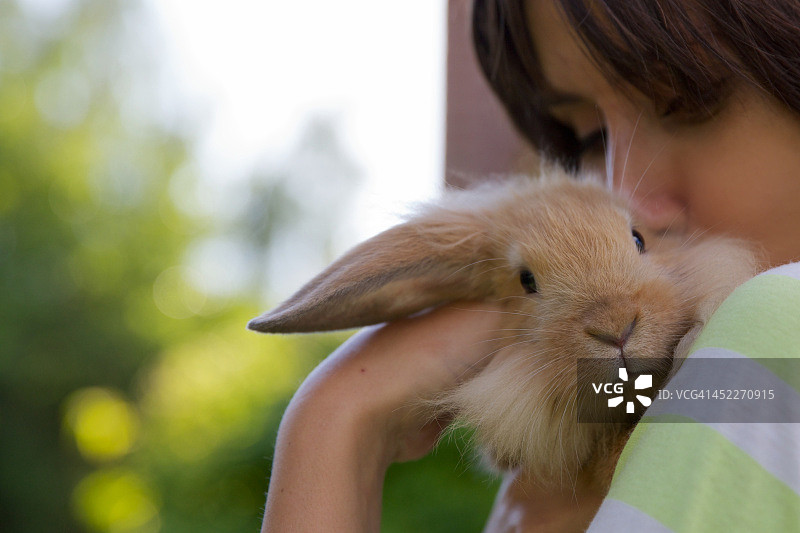兔子狮子宝宝图片素材