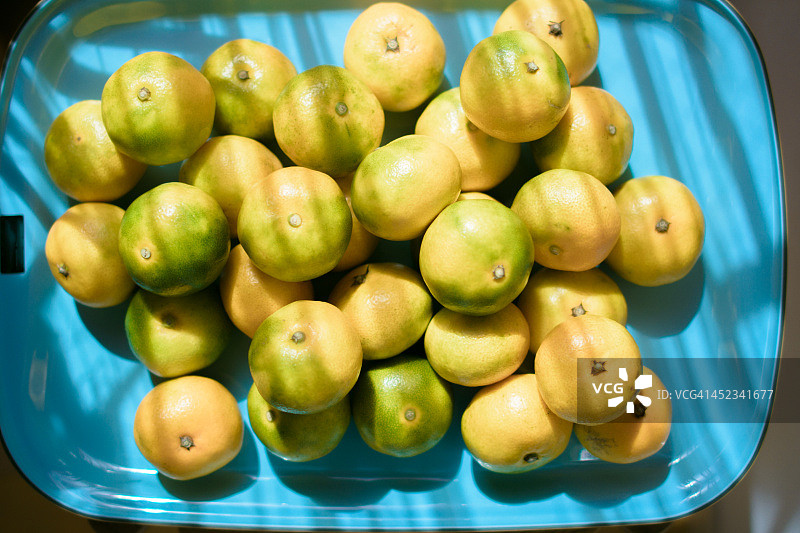 早熟蜜柑橘子图片素材