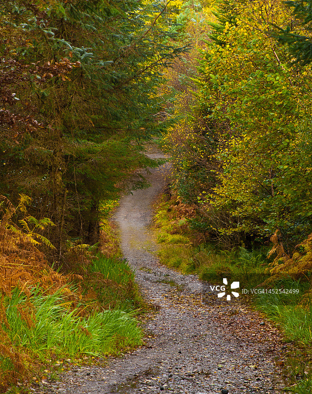 爱尔兰斯莱戈附近图片素材