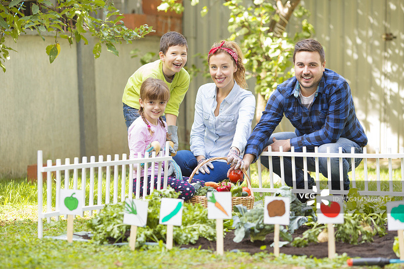 一家人在菜园里劳动图片素材
