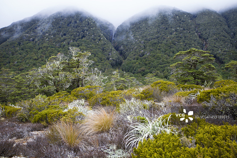 阿尔卑斯国家公园刘易斯通道图片素材