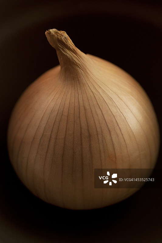 甜洋葱图片素材