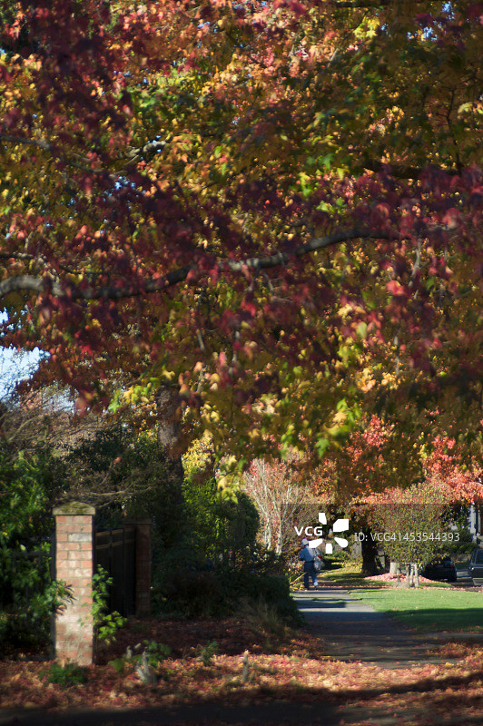 邮递员图片素材