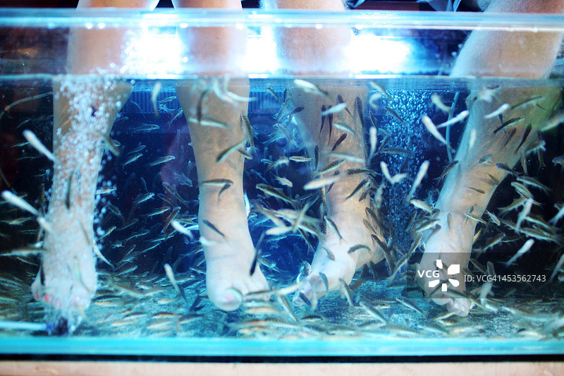 鱼疗放松图片素材