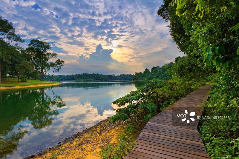 新加坡麦里芝蓄水池公园图片素材