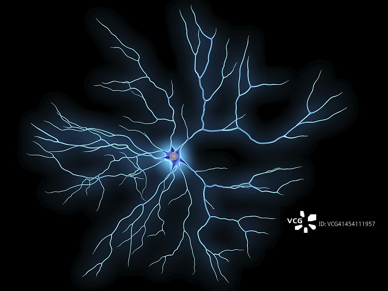 神经细胞图片素材