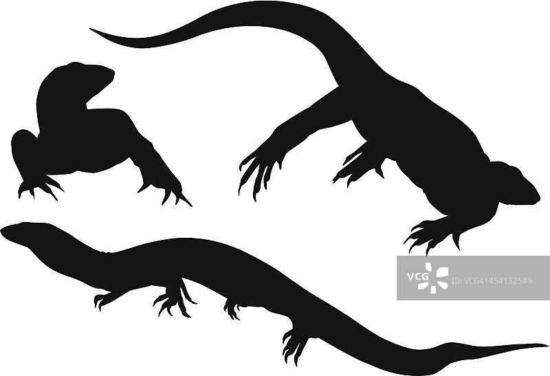 爬行动物图片素材