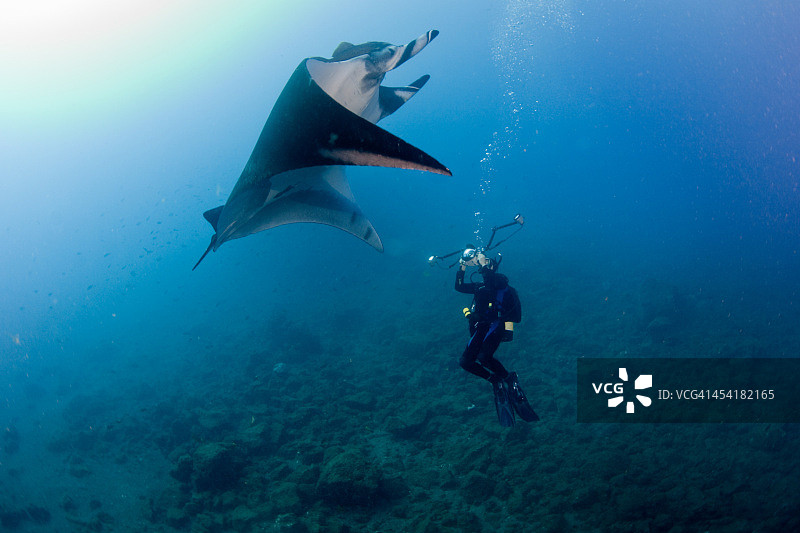 我的翅膀比你的大图片素材