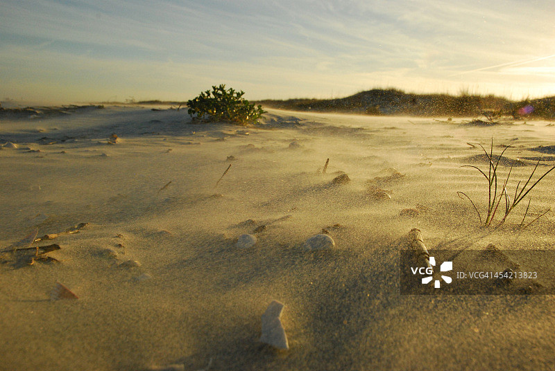 风沙图片素材