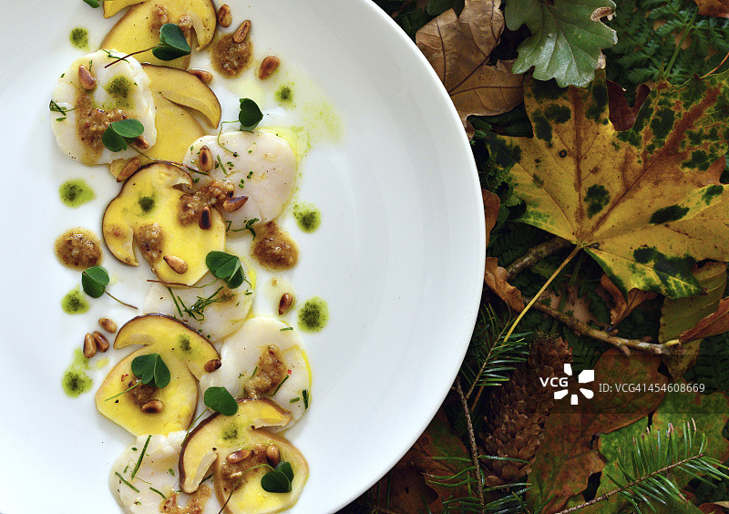 坎布里亚的牛肝菌和扇贝图片素材