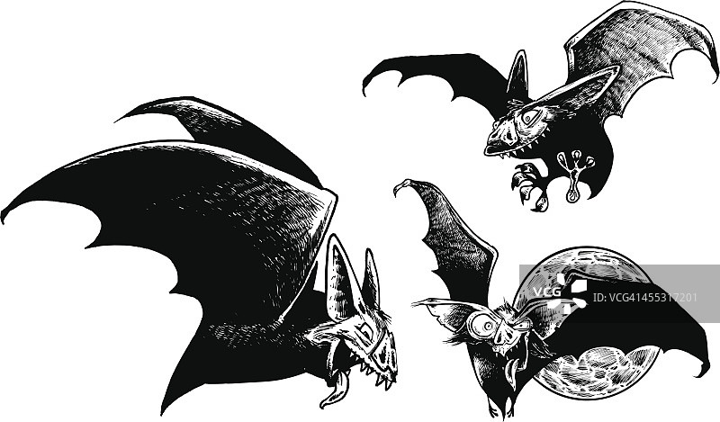 蝙蝠与满月——吸血鬼图片素材