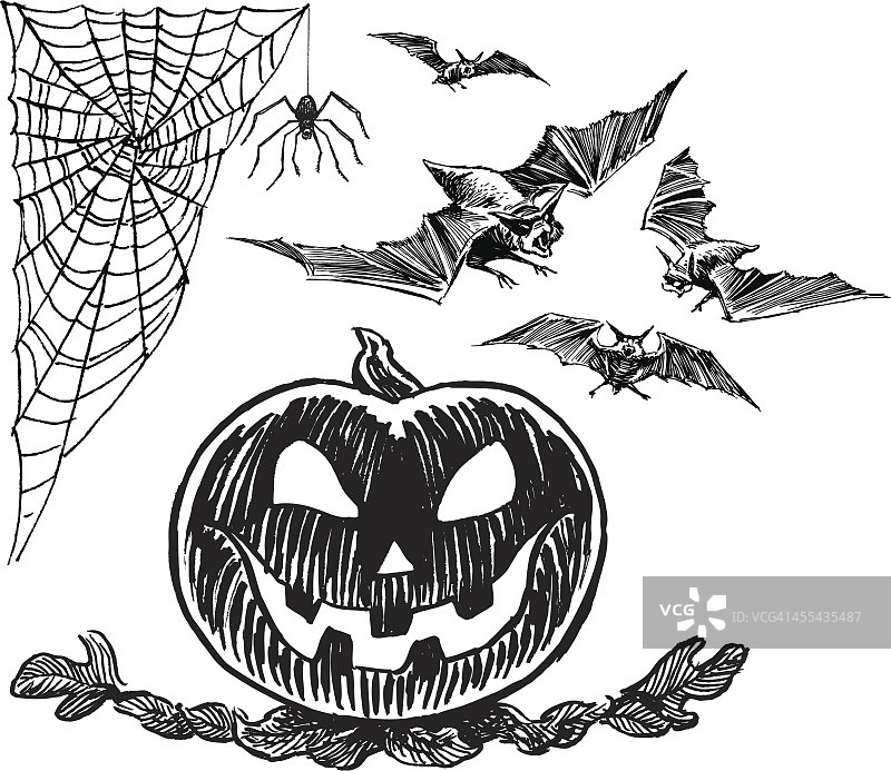 万圣节南瓜灯、蜘蛛、蝙蝠图片素材