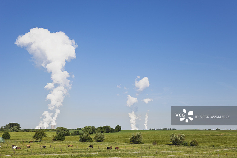 德国北莱茵-威斯特法伦州：田野里的马与背景中的发电厂图片素材