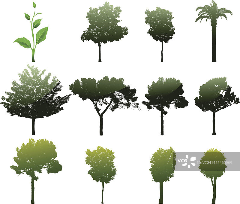 树木素材图片素材