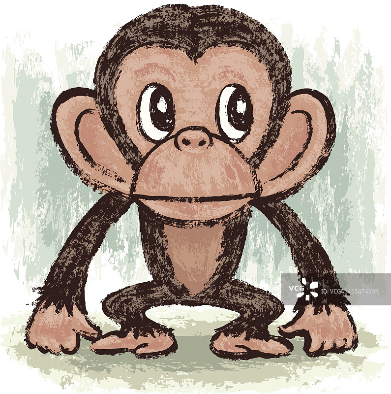 黑猩猩图片素材