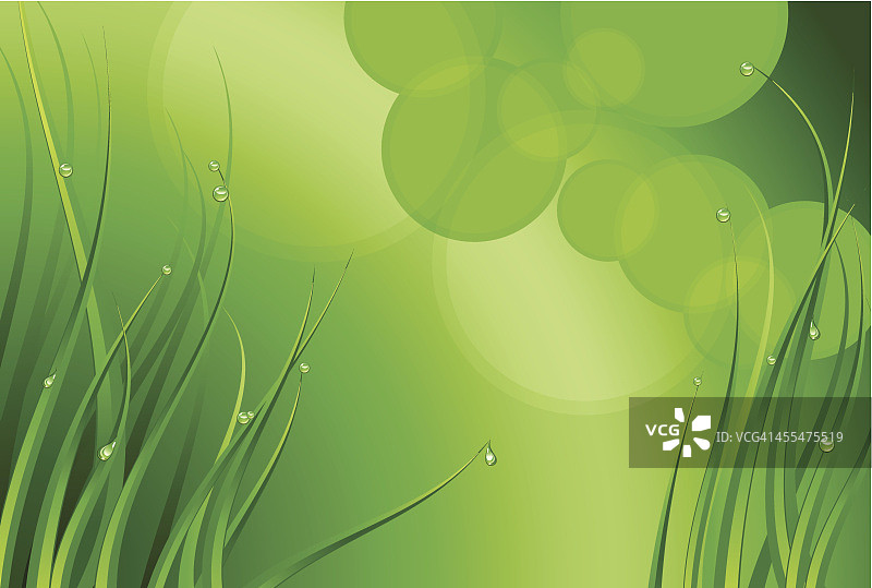 带着水滴的草地图片素材