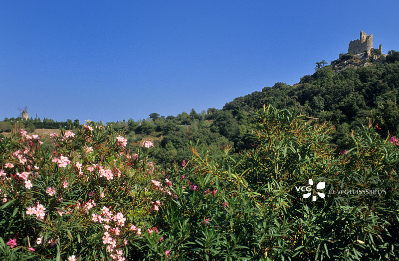 格里莫图片素材