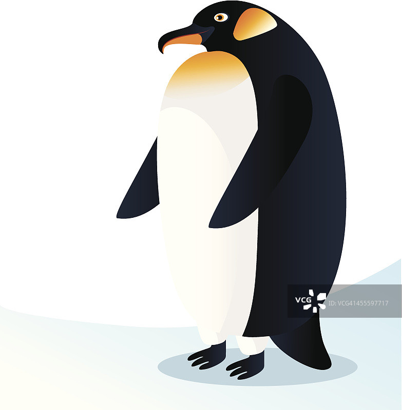 企鹅图片素材