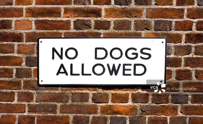 砖墙上的“禁止遛狗”标志图片素材