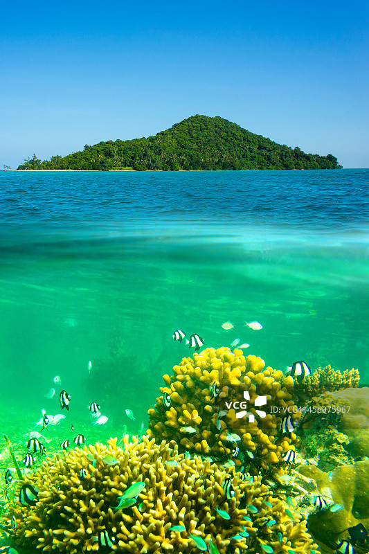 水面和水下景观图片素材