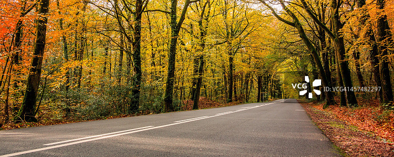 全景公路图片素材