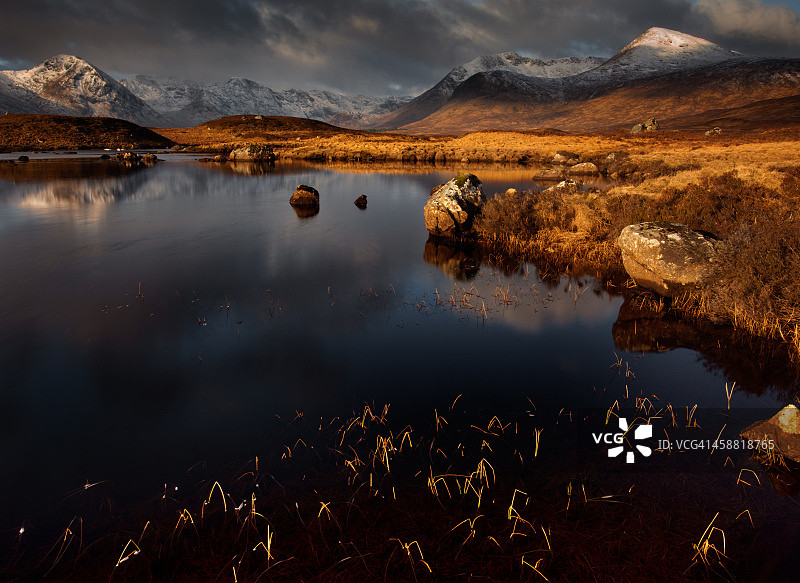 金色湖泊图片素材