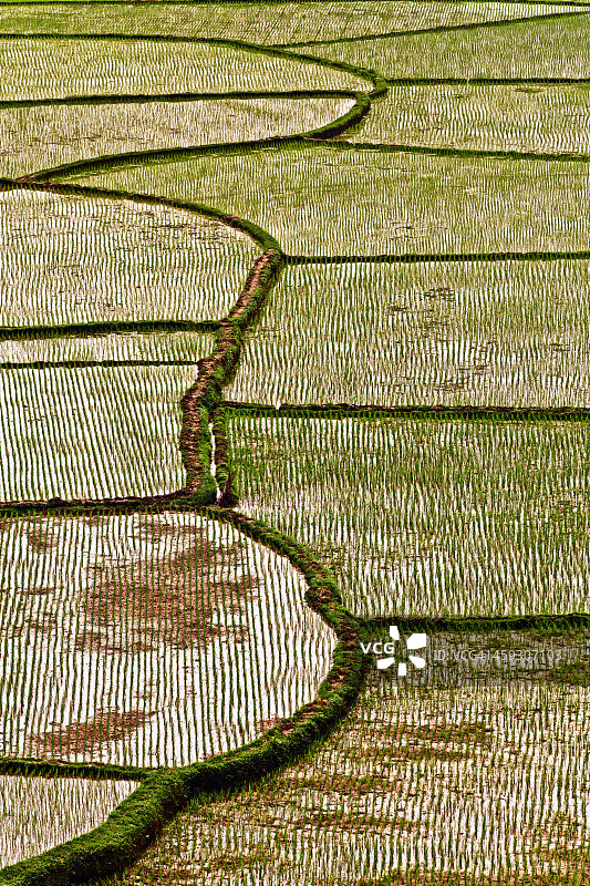 越南枚州风景图片素材