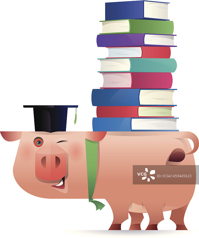 毕业小猪图片素材