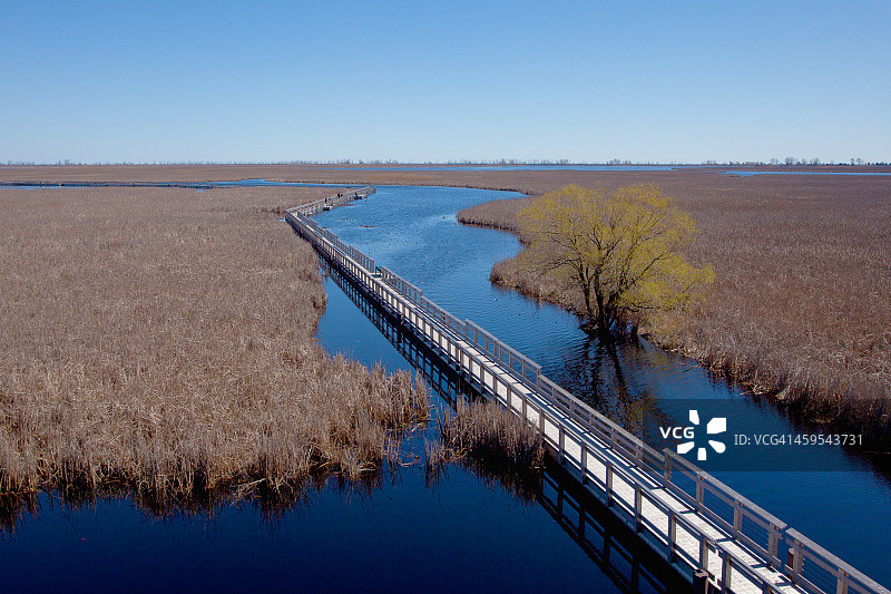 沼泽木板路图片素材