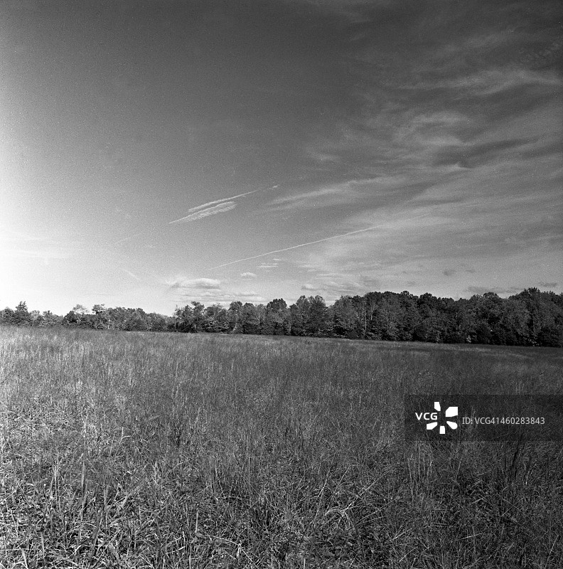 阿拉曼斯县图片素材