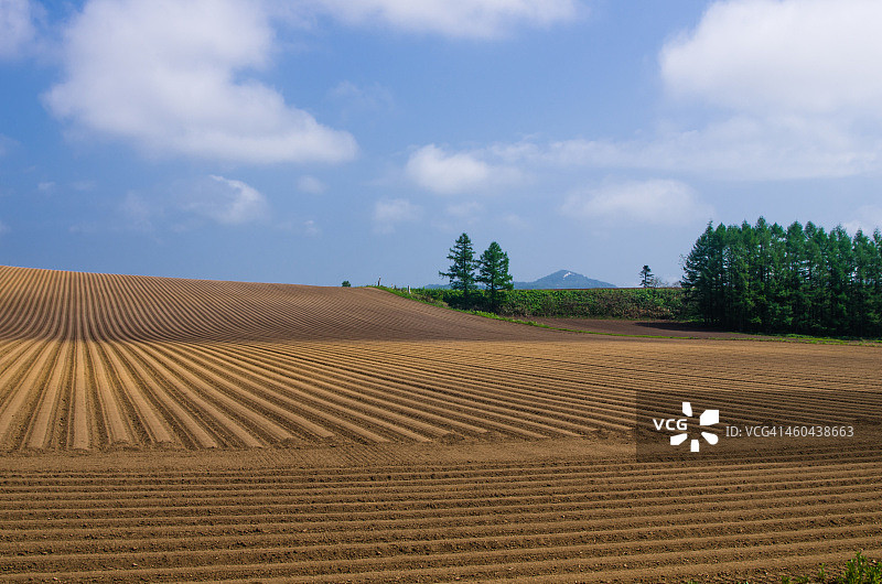 俱知安町的农田图片素材