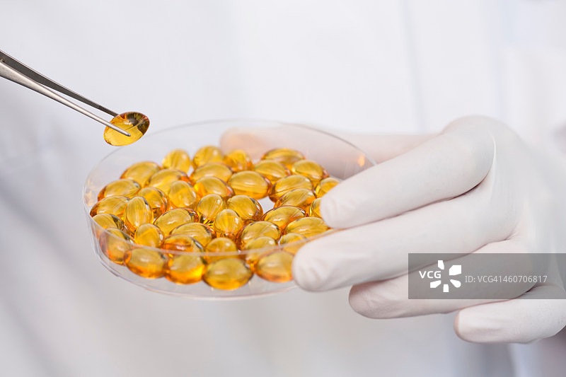 用镊子从培养皿中取出鱼油胶囊图片素材