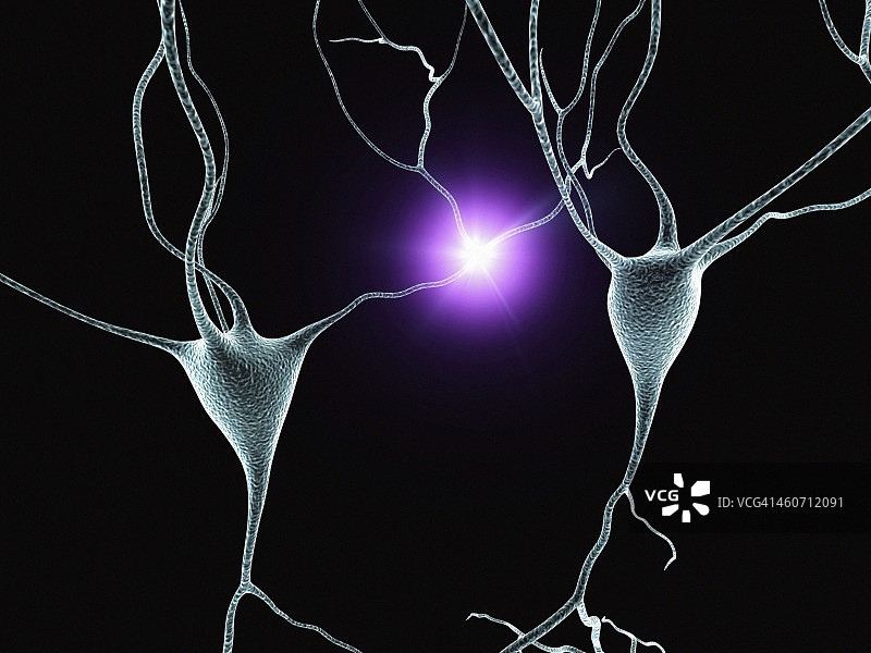 神经细胞艺术图图片素材