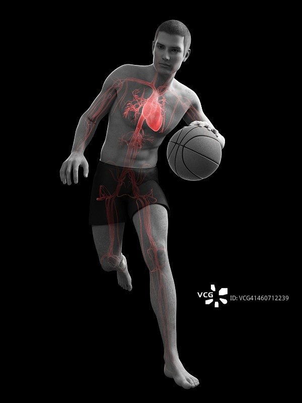 篮球运动员艺术作品图片素材