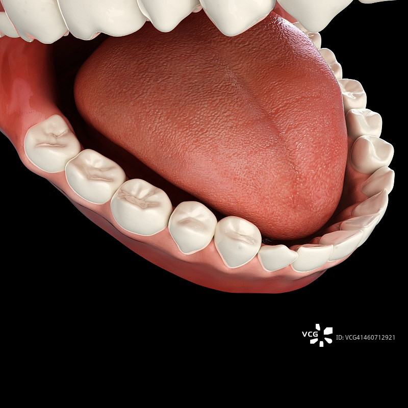 健康的牙齿，艺术作品图片素材