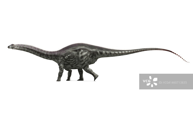 迷惑龙艺术作品图片素材