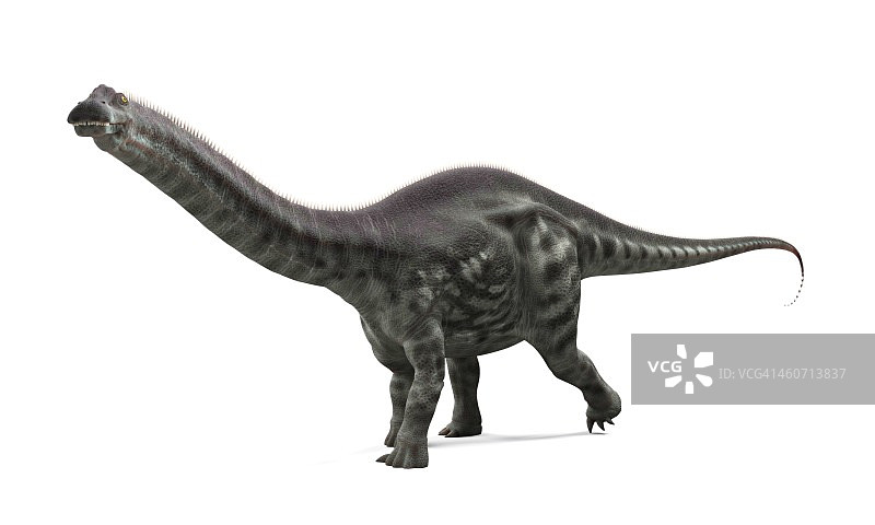 迷惑龙艺术作品图片素材