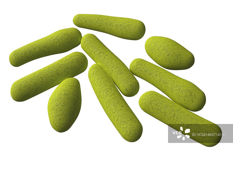 梭状芽孢杆菌，艺术作品图片素材