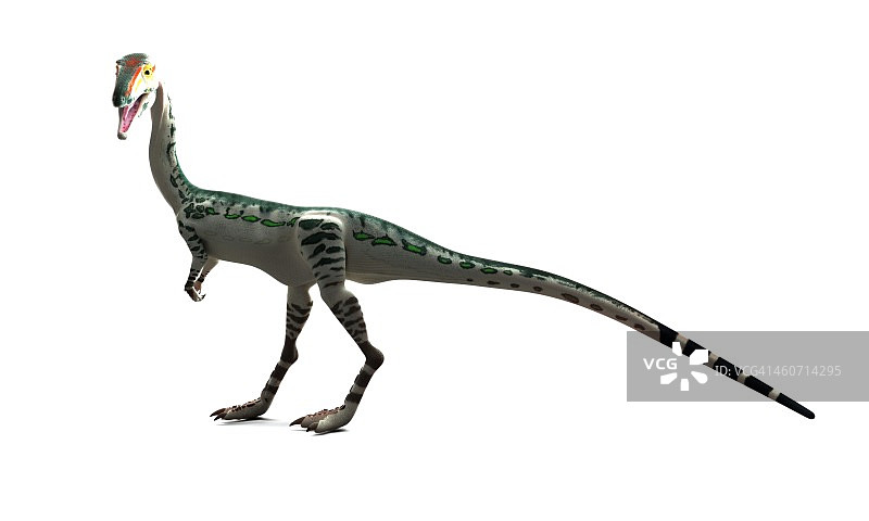 腔骨龙恐龙艺术作品图片素材