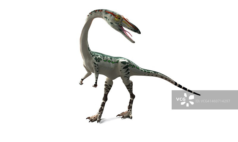 腔骨龙恐龙艺术作品图片素材