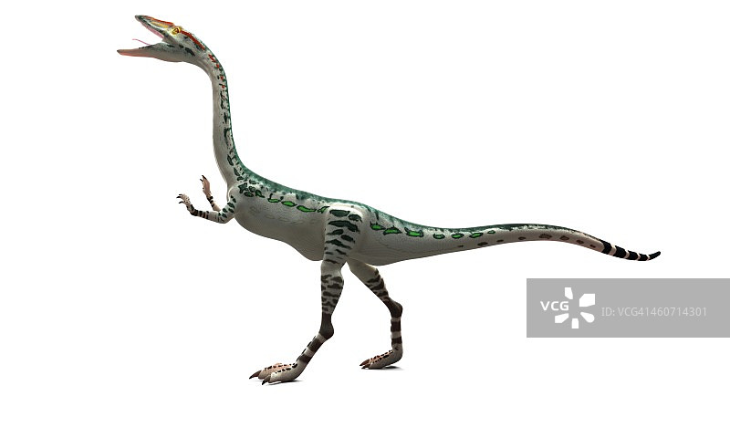 腔骨龙恐龙艺术作品图片素材