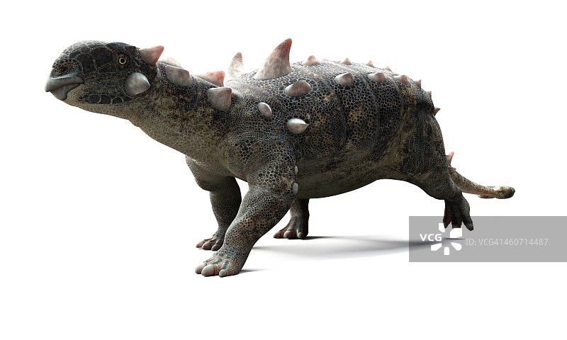 甲龙恐龙艺术作品图片素材