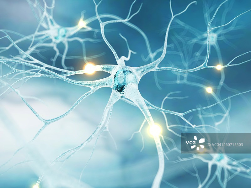 活跃的神经细胞，艺术作品图片素材