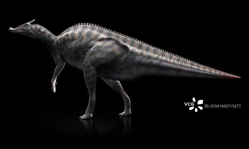 栉龙恐龙艺术图图片素材