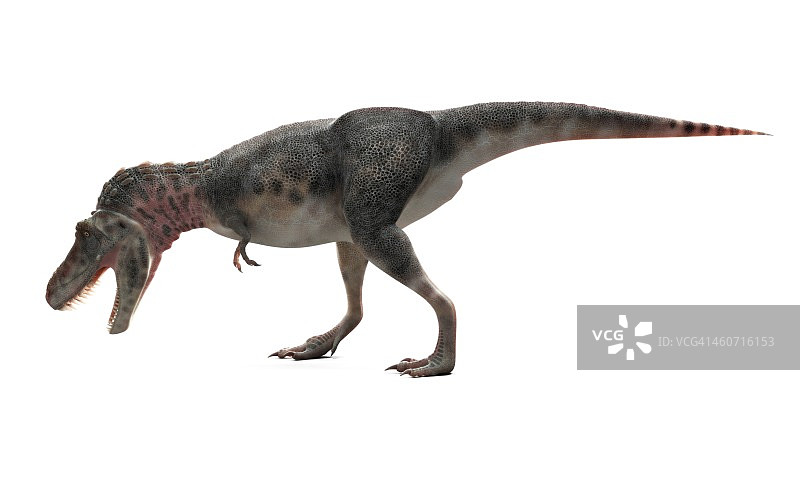 特暴龙恐龙艺术作品图片素材