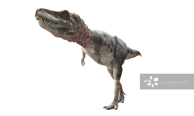 特暴龙恐龙艺术作品图片素材