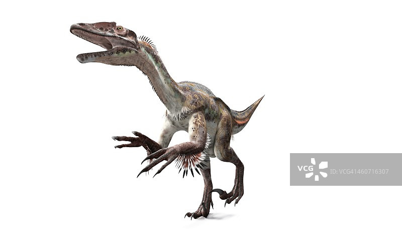 犹他盗龙艺术图图片素材