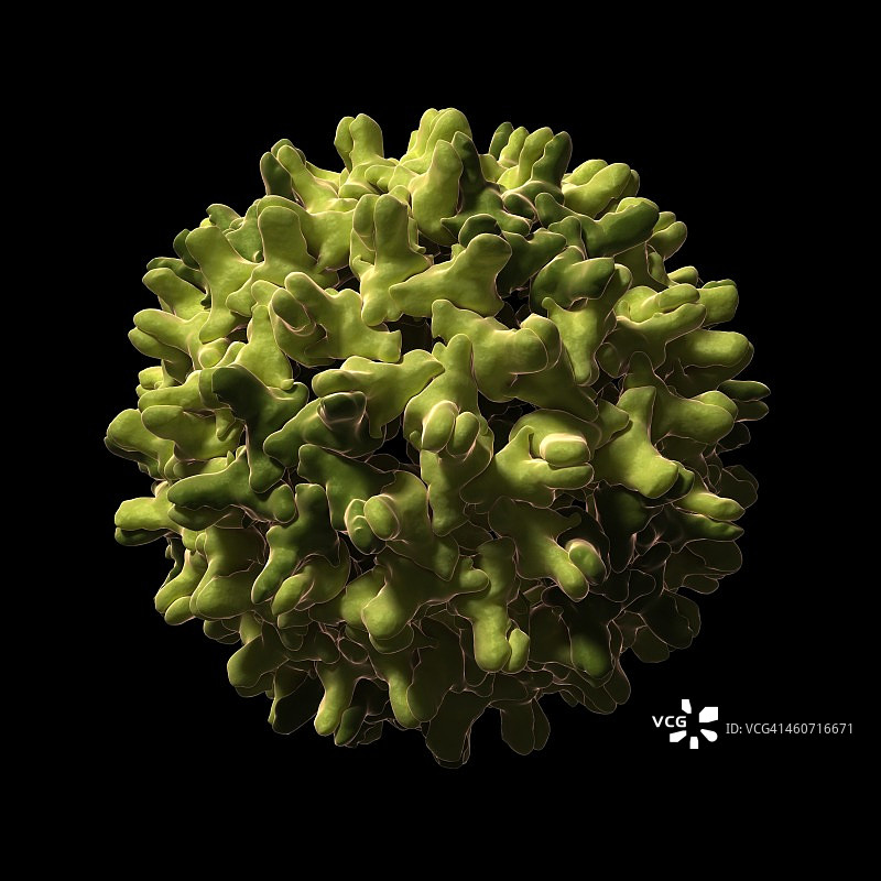 乙型肝炎病毒颗粒，艺术作品图片素材
