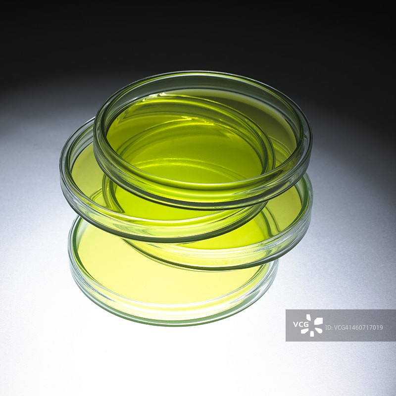 培养皿图片素材