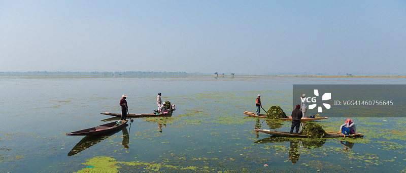 斯利那加达尔湖清洁图片素材